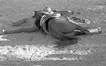 Novedades - Obras singulares en Babelarte.com